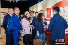 （第八届进博会）进博搭台侨联五洲 海外